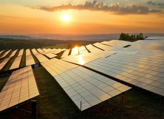 ساختار و اجزای پنل های خورشیدی؛ بررسی لایهها، مواد سازنده و انواع پنل ها مزرعه خورشیدی